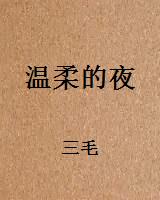 温柔的夜