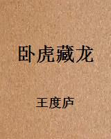 卧虎藏龙