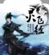 灵飞经
