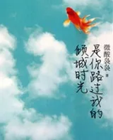 是你路过我的倾城时光