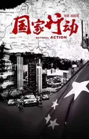 国家行动
