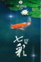 七星彩