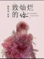 致灿烂的你