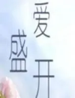 爱盛开(停尸房的哭声)