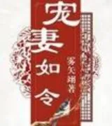 宠妻如令(番外)