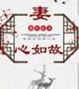 妻心如故