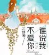 谁说我,不爱你(番外)