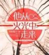 他从火光中走来(番外)