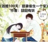 逃婚100天甜妻偷生一个宝