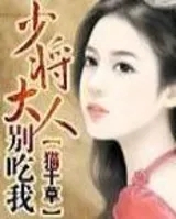 少将大人别惹我