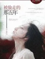 被偷走的那五年