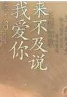 来不及说我爱你(结局番外)