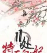 11处特工皇妃（特工皇妃楚乔传）