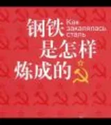 钢铁是怎样炼成的