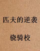 匹夫的逆袭