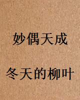 妙偶天成
