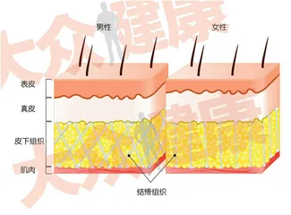 皮肤不只是身上的一层皮