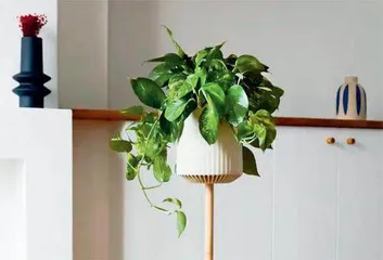 优品生活·健康潮品