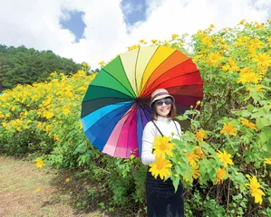 这些斑斑点点为何偏爱女性