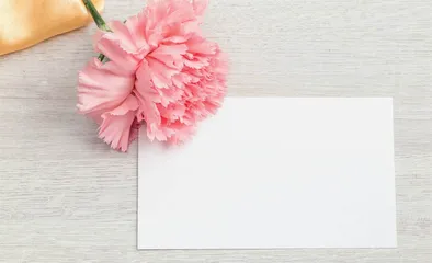 重逢在清明