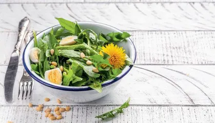 野菜里的中药