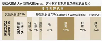 怕胖三斤?送您一份春节七天运动方案