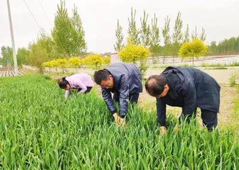 走,到群众中间去!2