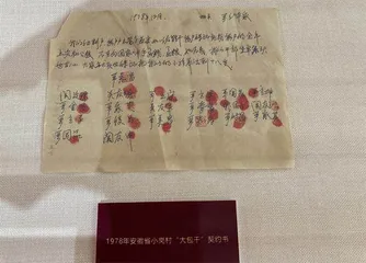 “百年伟业 三农华章”3