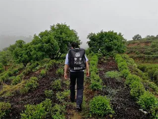 小背包,大民生 小背包,大服务1
