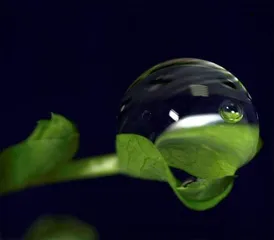 太空盛宴7