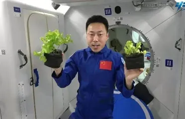 太空盛宴13
