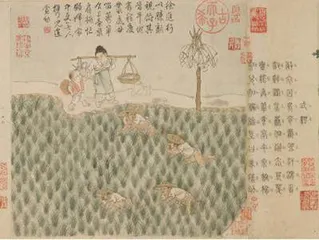 耘田与灌溉：晨起耘禾露未晞，夜来灌溉月明时1