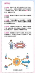 硬“核”通往无垠未来1