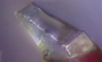 月球水冰知多少