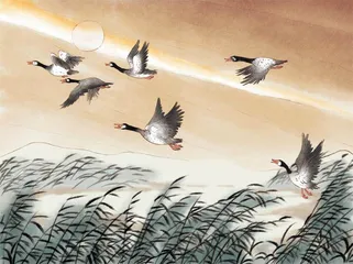孤雁来书