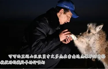 坚守可可西里的人1