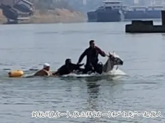 策马入冰河，三个人和一匹马的见义勇为0