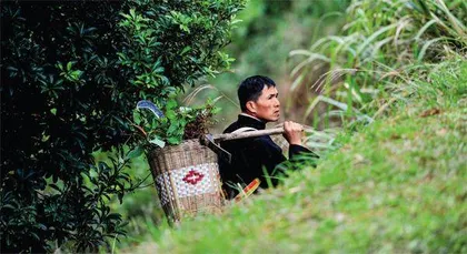 大山深处的非遗苗医药传承人
