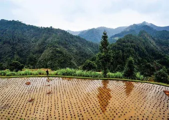 大山深处的非遗苗医药传承人1