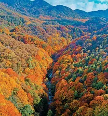 光雾山-诺水河地质、水文与生态的自然画卷7