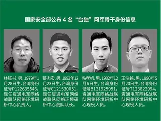 “台独”打手，鸡鸣狗盗之徒！2