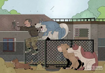 流量世界里的“恶犬集中营”