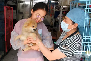 流量世界里的“恶犬集中营”8