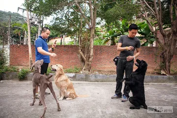 训狗是一门早已被解开的学问