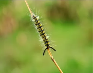 释怀1