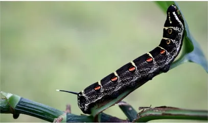 释怀4