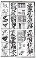 从风靡世界到委身博物馆——算盘旅行记