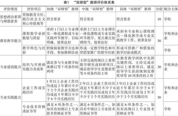 “双师型”教师评价体系的构建：内涵、标准与发展路径