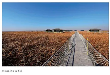 “龙江风格” 中的斗争精神