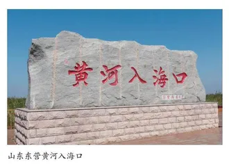 从档案看黄河流域生态高质量发展历程